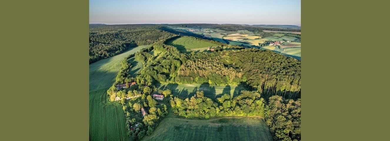 Mezinárodní den archeologie – vycházka s archeology na hradiště Dřevíč